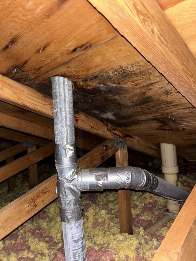 Water damage and active roof leak visible inside attic near a ventilation opening.