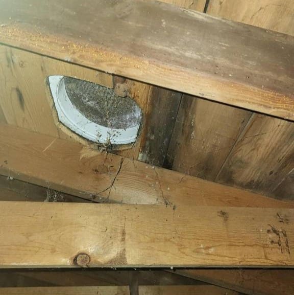 Water damage and active roof leak visible inside attic near a ventilation opening.
